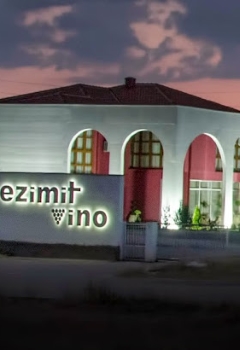 Ezimit Vino - E-Collection Pinot Grigio
