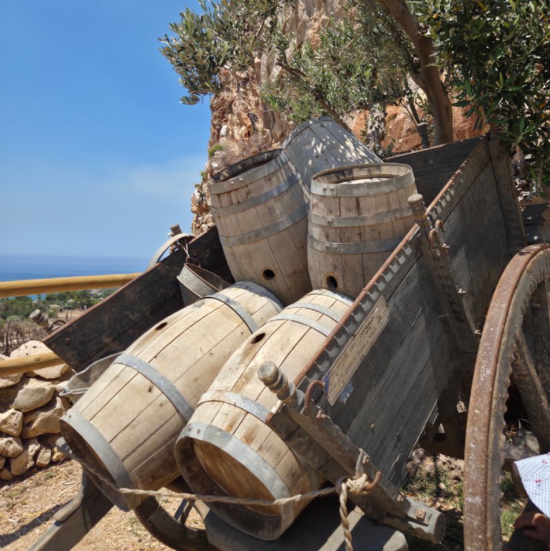Decoratief element voor elke tuin, terras of interieur.